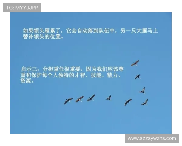 北京足球队团队协作深度解析与其他球队的对比分析 北京足球队团队协作深度解析与其他球队的对比分析