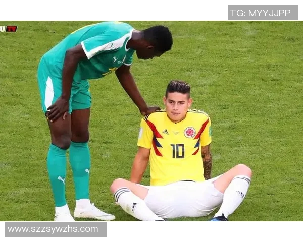 塞内加尔与哥伦比亚激战在即谁将赢得这场精彩对决 塞内加尔与哥伦比亚激战在即谁将赢得这场精彩对决