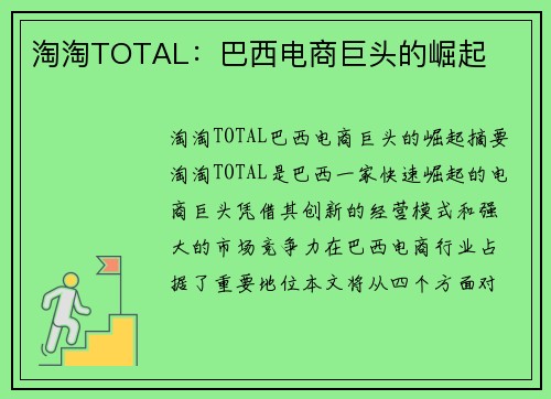 淘淘TOTAL：巴西电商巨头的崛起
