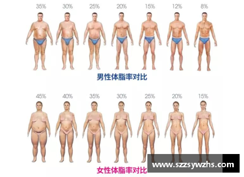 探索体脂率：从球员到健康的完美平衡