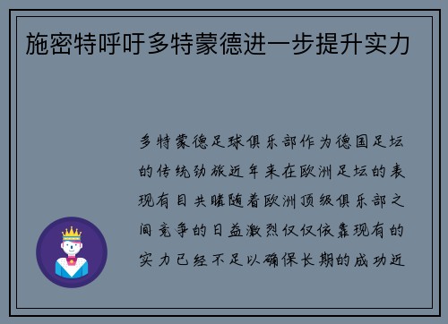 施密特呼吁多特蒙德进一步提升实力